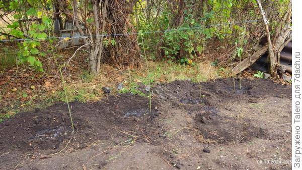 И вот что получилось