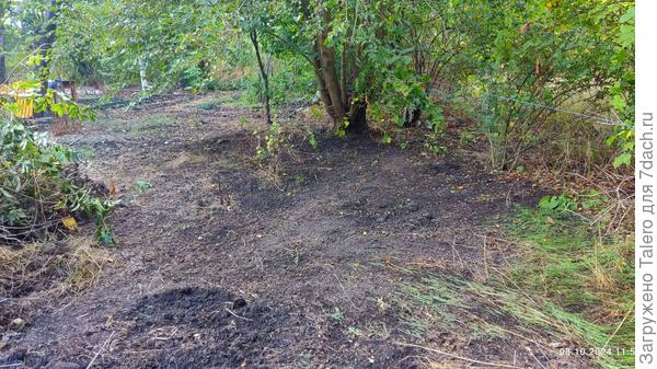 Вид в другую сторону