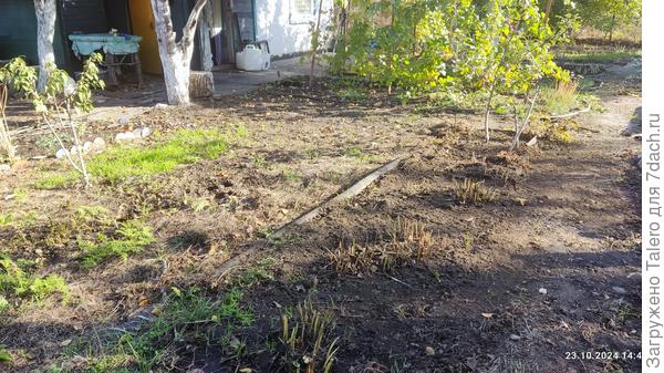 Крайний бордюр