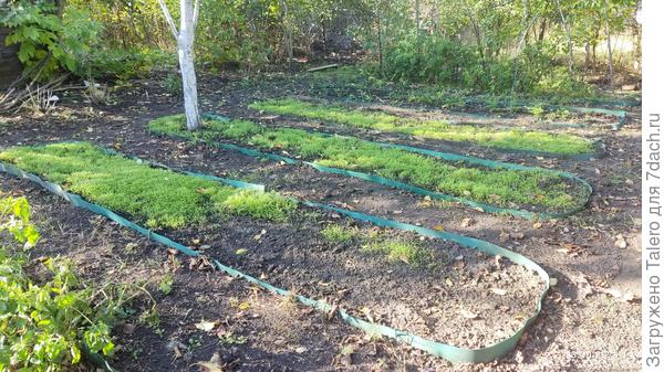 На месте кабачков какая-то проплешина