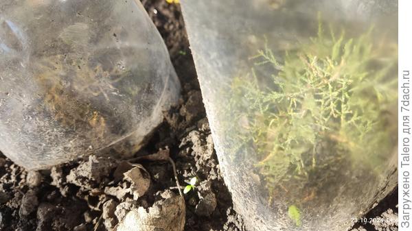 И пополнение им уже спешит