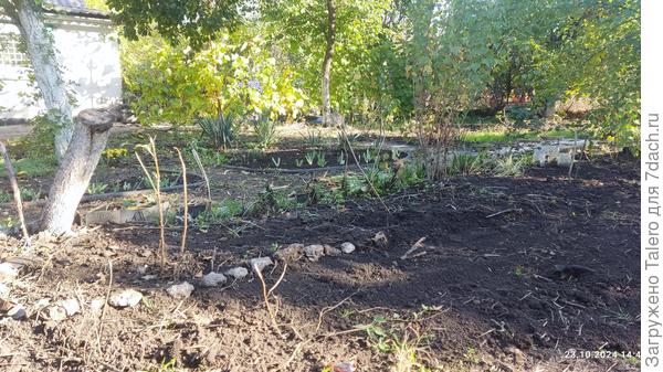 Так, на задний план не смотреть, мы тут пока что ближний разбираем!