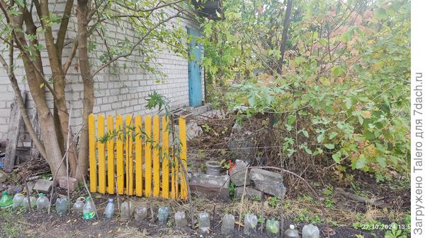 Издали видать!