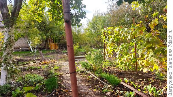 Солнышко выглянуло!