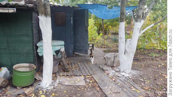 Переезд холодильника позволил наконец полностью выкрасить чёрную сливу