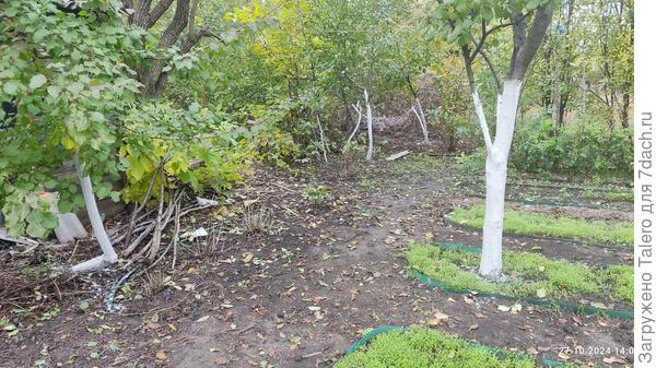 Но красиво же!