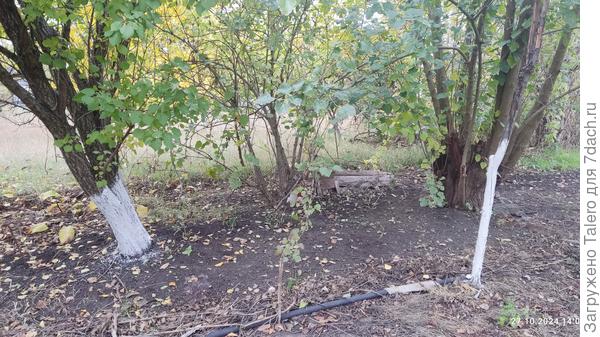 И в глубины не добралась