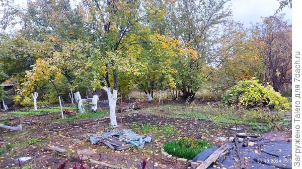 Вполне осенний вид