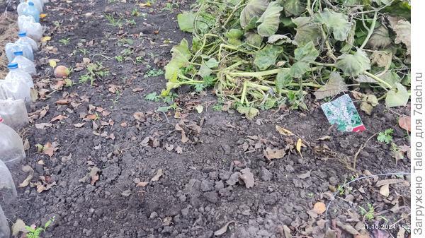 Подъяблонье