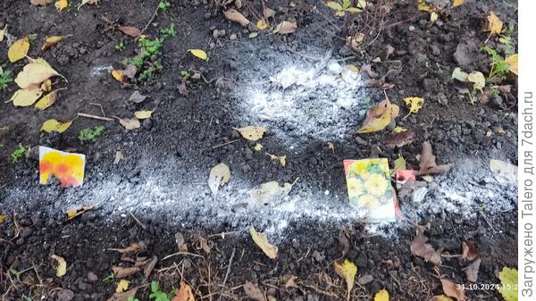 Бывшая школка