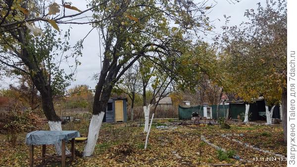 Но уже, несомненно, осень