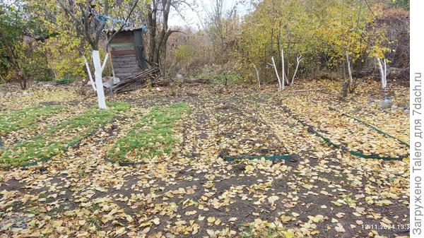 Эти тоже можно считать укрытыми