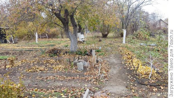 Вот так всё и будет зимовать