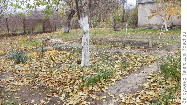 Трава прёт вовсю, ей зима нипочём