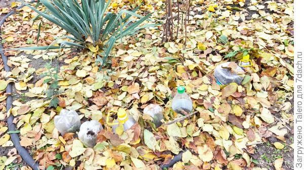 Вот они сидят, скраешку