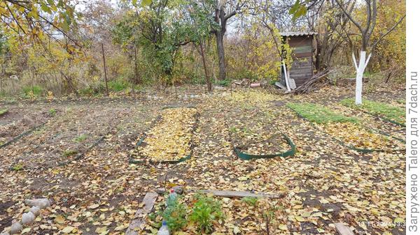 Ну и здесь листьев набросали