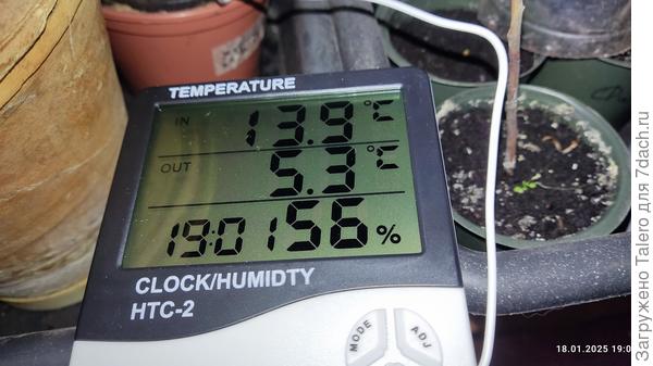 Похоже, на балконе пока что отличные условия для цветочков и кустиков