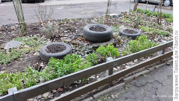 Перед подъездом вообще клумба