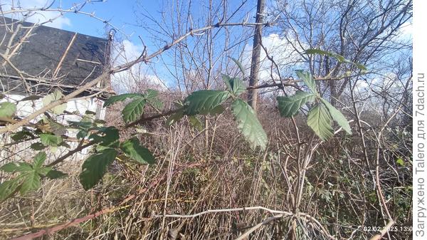 А вот это уже полная наглость!