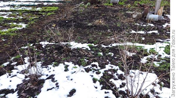 Теперь они почти одинаковые