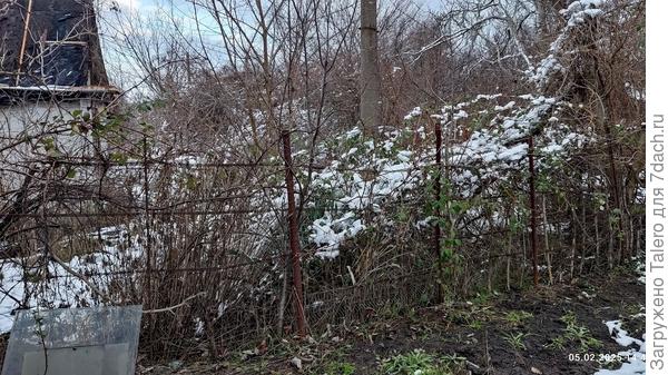 Сюда не добралась