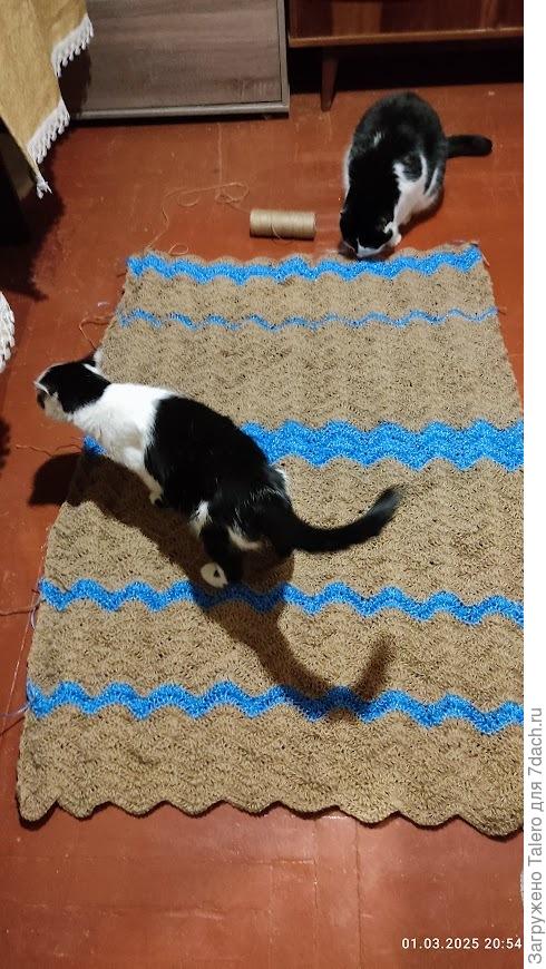 Котики для масштаба