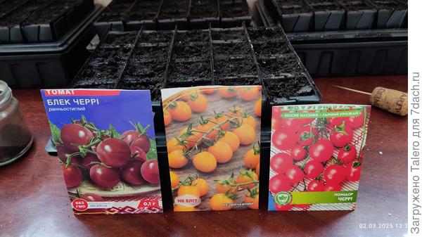 Партия первая