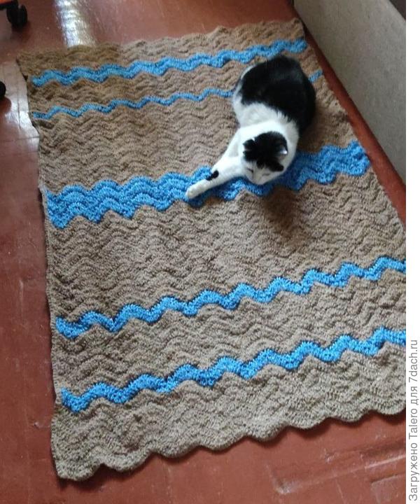 Котик одобрил новый коврик