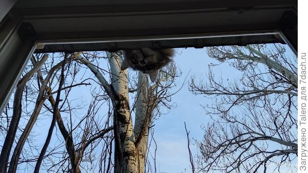 Балкон в марте