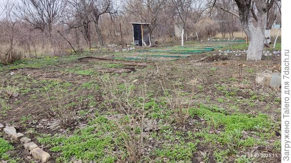 Переходим к огороду