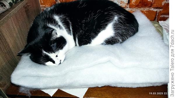 Синтепон я, кажется, не себе купила))