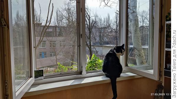 Котик в восторге! Но рано радуется