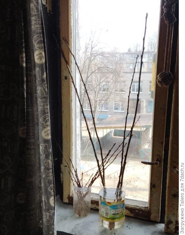 Не могла не попробовать)))