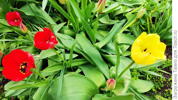 Самое красивое время