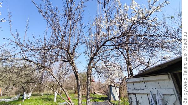 Ещё бы небо поголубее!