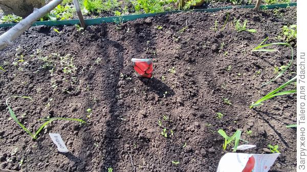 Хотя кого тут только нет