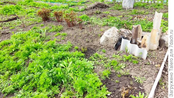 И частично яму — там ещё рвать и рвать