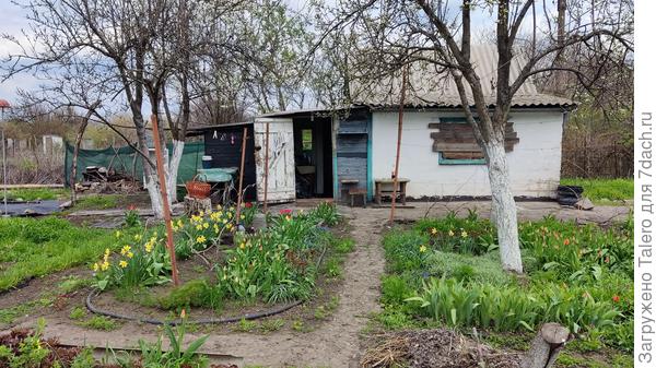 Хотя уже и лето почти