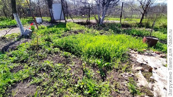 А то уже луг заливной повсюду