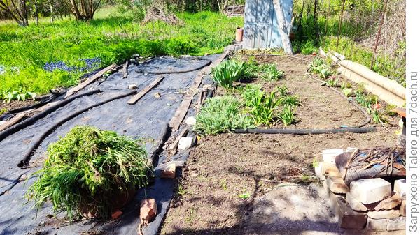 Травы набралось