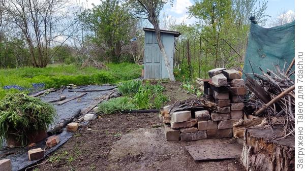 Фото с дождём для контраста