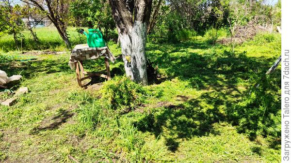 Вот сложный кусок с морем подмаренника под столом и лавкой