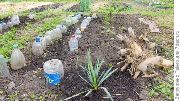 Юкки переехали