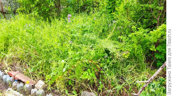Но в таком соседстве это ненадолго
