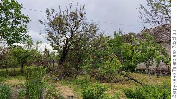 И вот что получилось