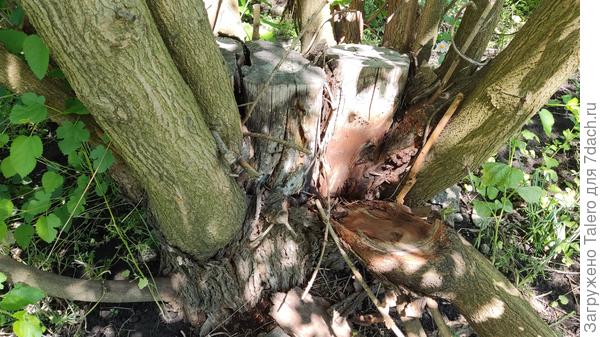 Последствие раз