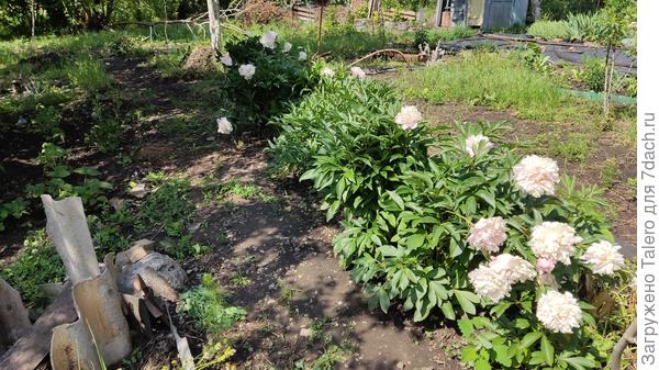 Так-то поприличнее