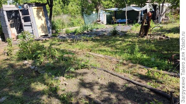 На перцев воды не хватило, пусть упиваются свободой