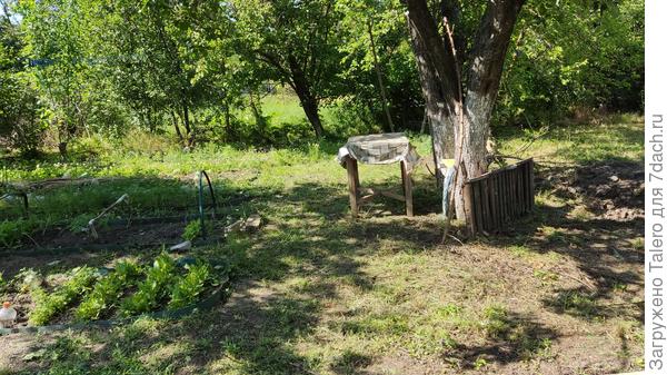 Как-то многовато у меня территории, пока выкосишь, свалишься!