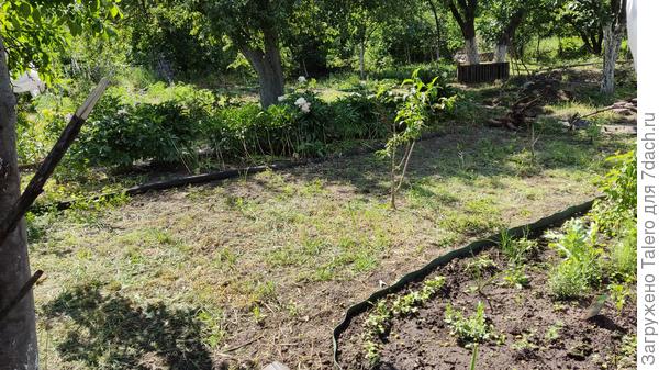 Без травы-то оно покрасивше!